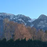Apartment Alpine Near Bad Ischl#2 *