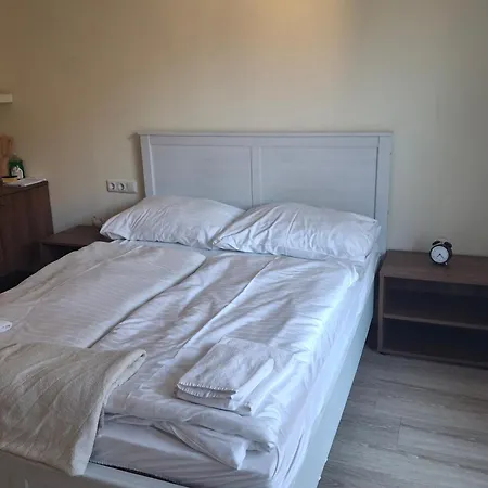 Apartment Alpine Near Bad Ischl#2