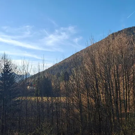 Alpine Near Bad Ischl#2 Apartment Haiden