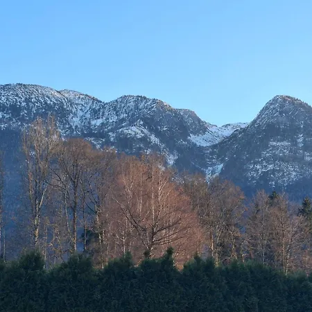 Apartment Alpine Near Bad Ischl#2 *