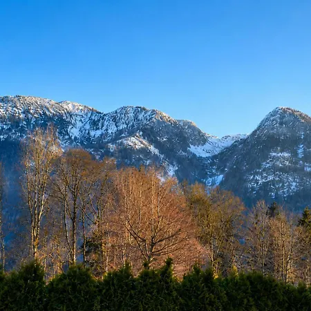 Alpine Near Bad Ischl#2 *