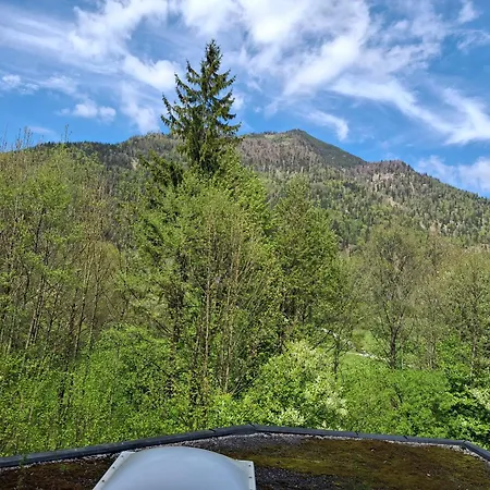 Alpine Near Bad Ischl#2
