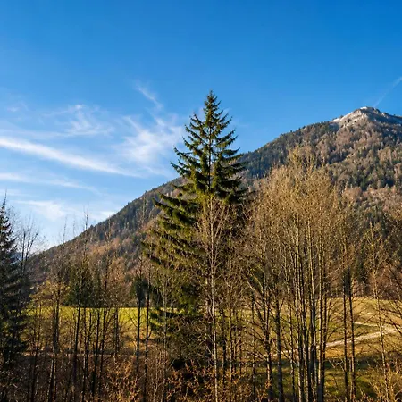 Alpine Near Bad Ischl#2 Apartment *